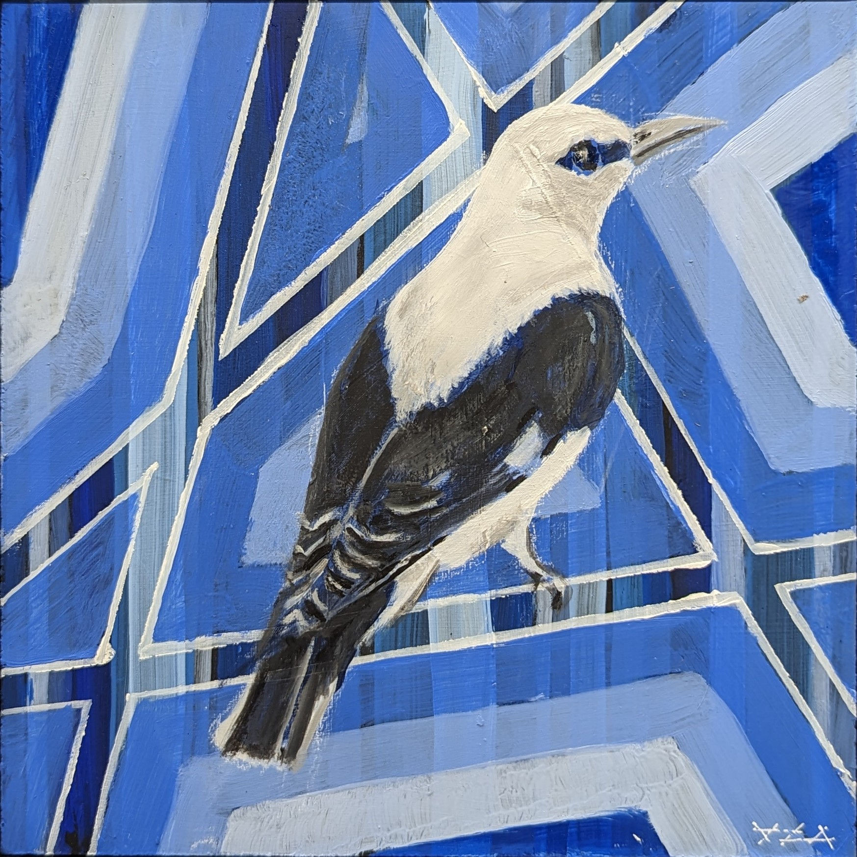 Oriole - II