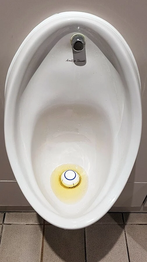 Blocked urinal