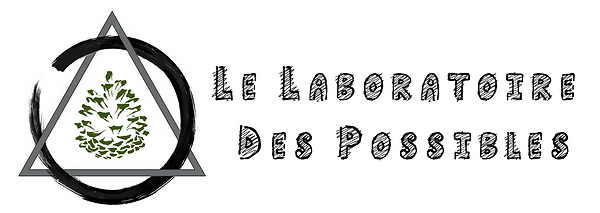 Final le laboratoire des possibles FB.pn