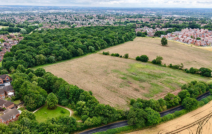 Drone picture of wood_edited.jpg