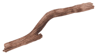 tree branch