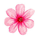 9 (17).png