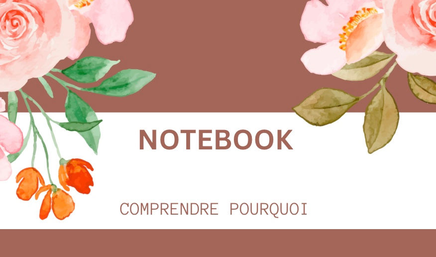 Notebook "Comprendre pourquoi" - brun