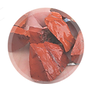 pngwing.com.png