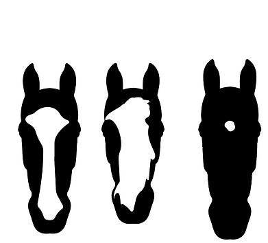 Example of our Horse Marking Design