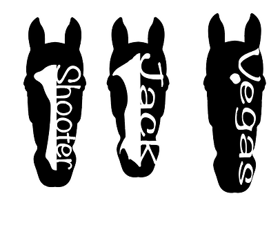 Example of our Name & Marking Horse Design