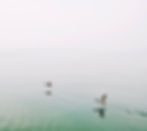 Ducks%20Over%20the%20Lake_edited.jpg