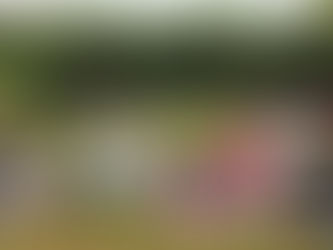 PAST EVENT - SEPTEMBER KIDS / FAMILY YOGA CLASS