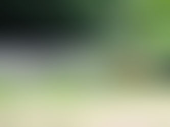 Neuer Pilateskurs in Muhen in Planung