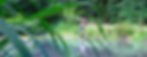 IMG_1705_Mermaid_RAW_streifen.jpg