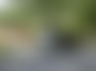 Do Junk Removal Companies Offer Free Estimates in Detroit?