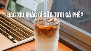 Bạc xỉu khác gì sữa tươi cà phê? Khám phá sự khác biệt từ hương vị