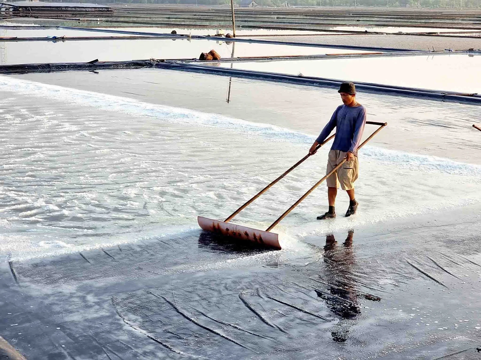 Team yêu nhiếp ảnh chắc chắn không thể bỏ lỡ điểm đến này!