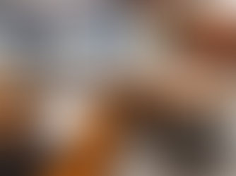 Không gian tại Mangrove Coffee & Tea - Điểm hẹn thư giãn giữa lòng Sài Gòn