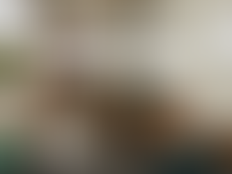 Mangrove Coffee & Tea - Quán cà phê có không gian làm việc tại Sài Gòn đáng trải nghiệm