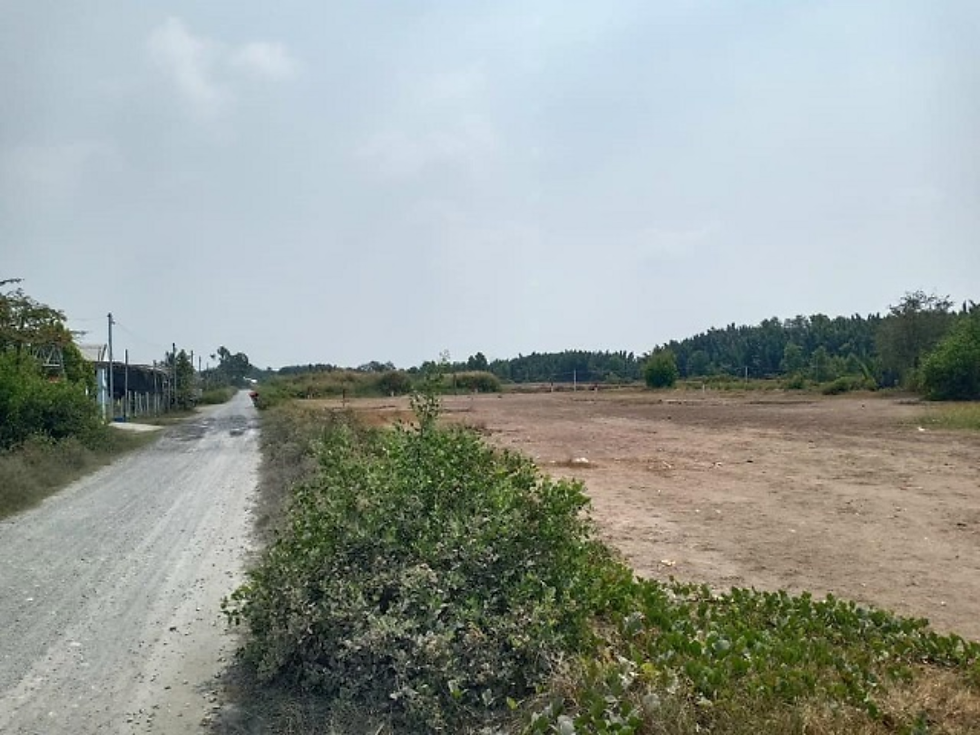 Giá đất hiện đã ổn định, hướng tới nhu cầu ở và đầu tư dài hạn