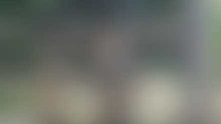 Nên đi Cần Giờ thời điểm nào trong năm? Gợi ý thời điểm lý tưởng cho chuyến vi vu của bạn