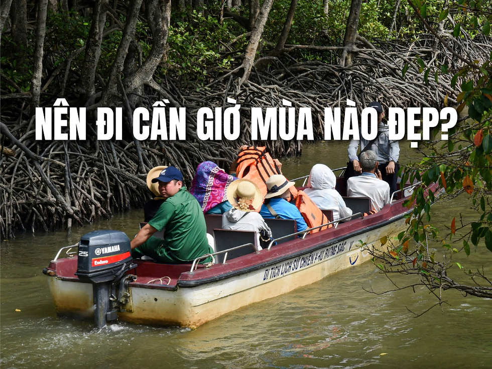 Nên đi Cần Giờ mùa nào đẹp? Kinh nghiệm chọn thời điểm lý tưởng để khám phá