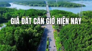 Giá đất Cần Giờ hiện nay: Mặt bằng giá 2026 và những khu vực đáng chú ý