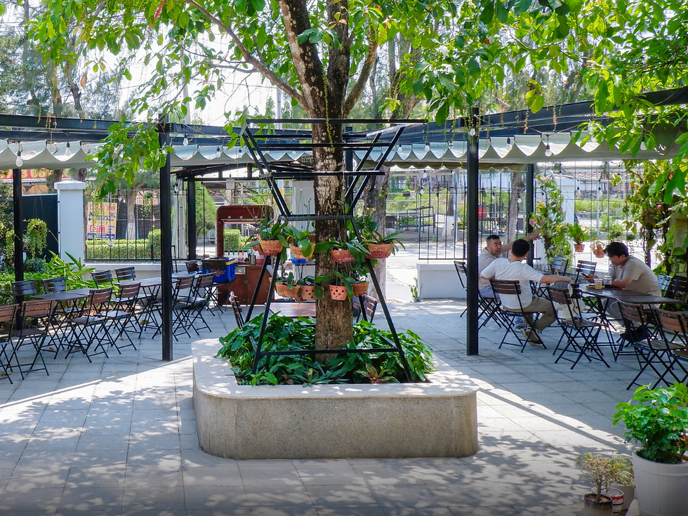 Hẹn gặp bạn tại góc sân vườn quen thuộc của Mangrove nhé!
