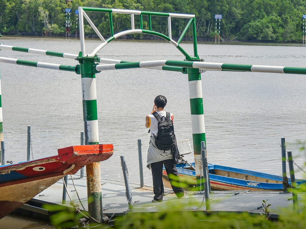 Quan sát tháp Tang Bồng, đi bộ xuyên rừng hay tận hưởng bầu không khí tinh khôi giữa "lá phổi xanh" của Sài Gòn.