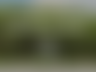 "Lưu ngay" top những kinh nghiệm du lịch Cần Giờ 1 ngày chi tiết từ A - Z