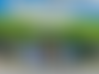 Du lịch Cần Giờ 1 ngày có gì thú vị mà được Gen Z yêu thích?