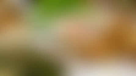 Trọn vị cơm nhà cùng Mangrove Hotel - Gợi ý bữa ăn ấm cúng tại Cần Giờ