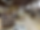 D0A6FB65-D426-441B-9936-E04CEB90551C.heic.png