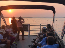 Captain Dan's Tours Chincoteague Island, VA Boat Tour | Pony Tour | Wildlife | Horses | Sightseeing