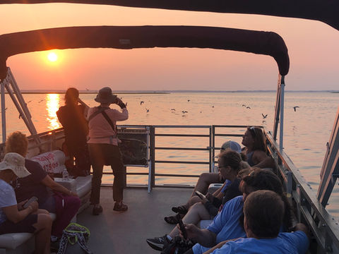 Captain Dan's Tours Chincoteague Island, VA Boat Tour | Pony Tour | Wildlife | Horses | Sightseeing