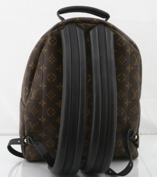 Louis Vuitton Palm Springs MM backpack NDfinest