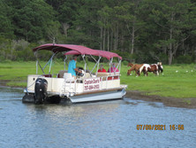 Captain Dan's Tours Chincoteague Island, VA Boat Tour | Pony Tour | Wildlife | Horses | Sightseeing