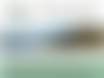 Cabin Connections November/December 2023