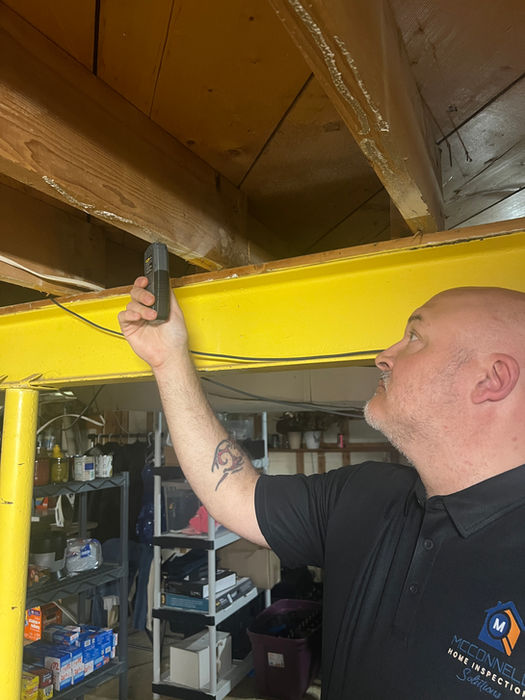 Home inspector checking wooden floor joists for moisture.