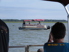 Captain Dan's Tours Chincoteague Island, VA Boat Tour | Pony Tour | Wildlife | Horses | Sightseeing