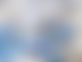 Neural Blockade Monitor