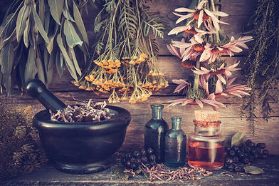 Healing Herbs in Bunches