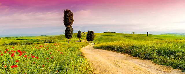 fields in tuscany