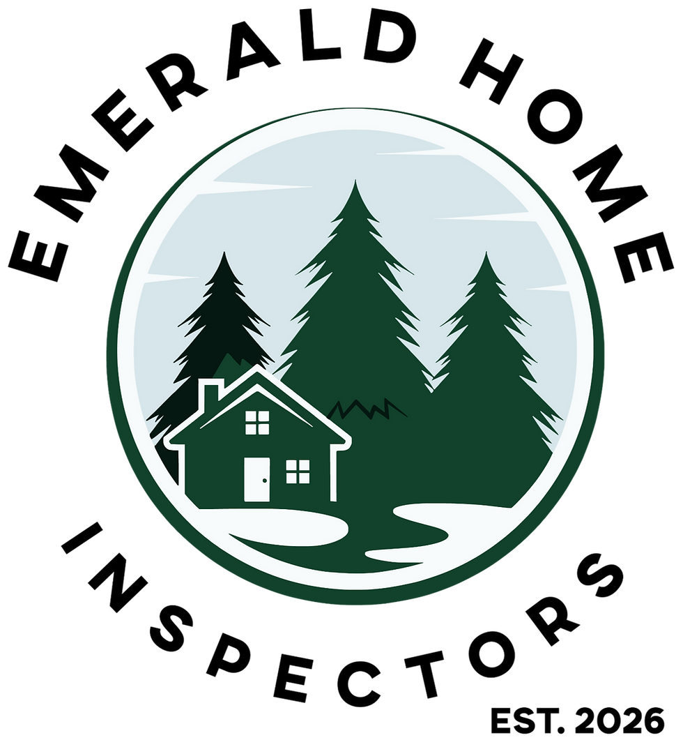 Small cabin in a pine forest within a circular frame.