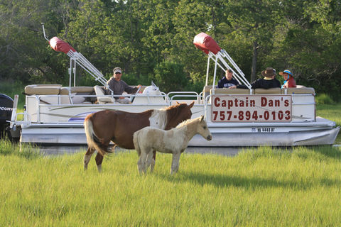 Captain Dan's Tours Chincoteague Island, VA Boat Tour | Pony Tour | Wildlife | Horses | Sightseeing