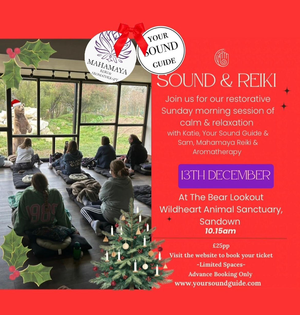 December reiki & Sound with bears 