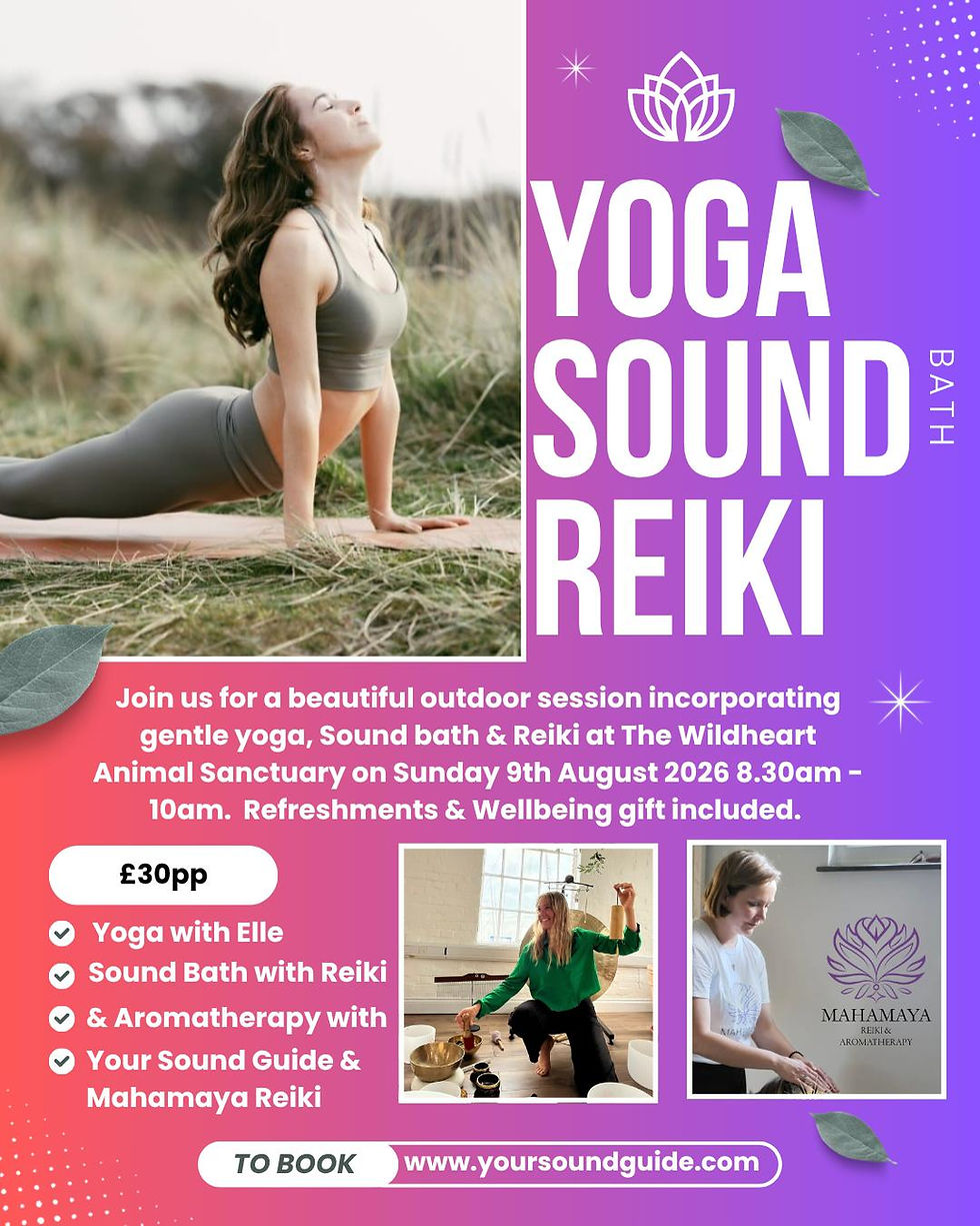 Yoga, Sound Bath & Reiki