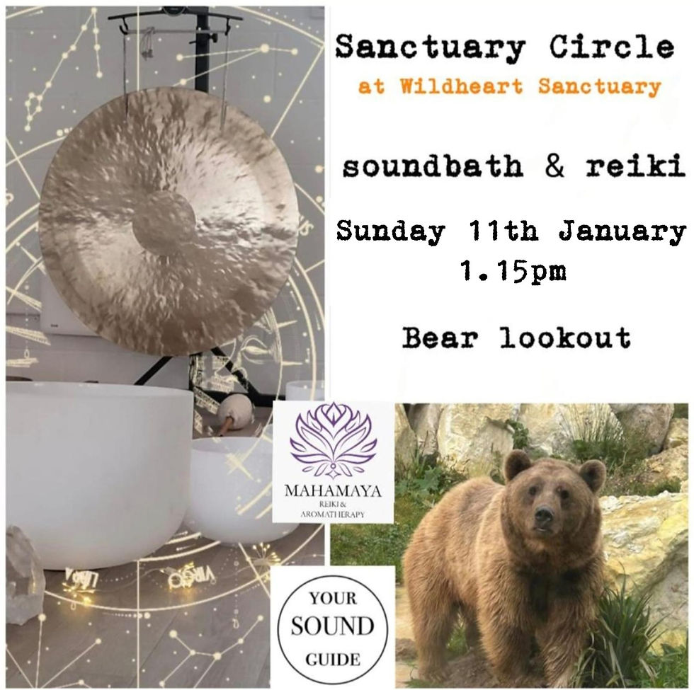 Sound & Reiki Benji & Balu 1.15pm