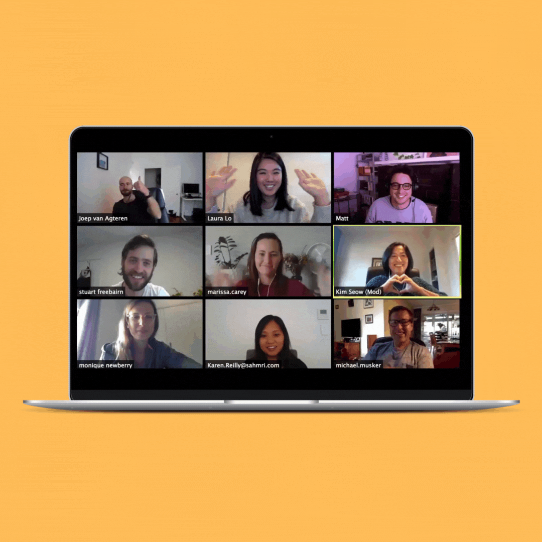 BWP laptop zoom yellow.gif