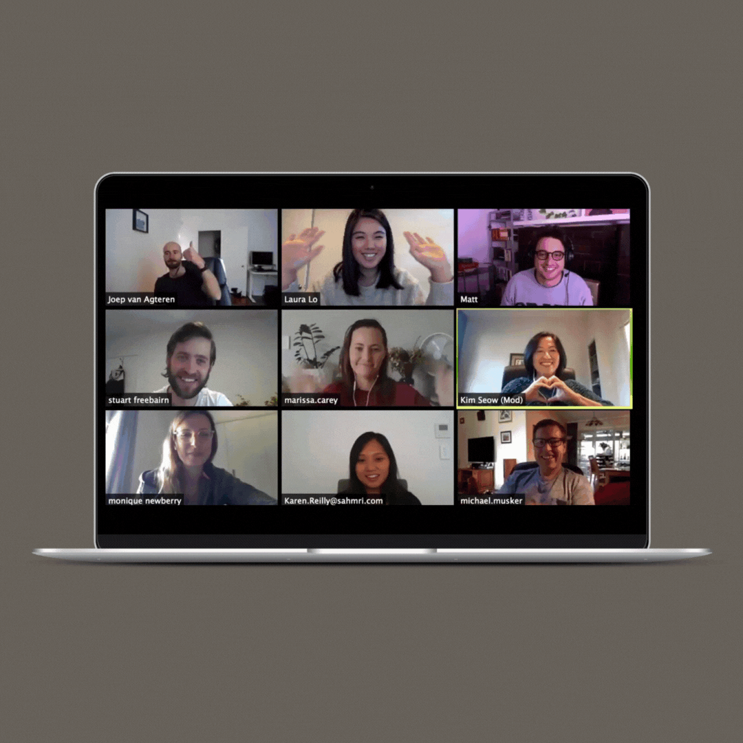 BWP laptop zoom grey.gif