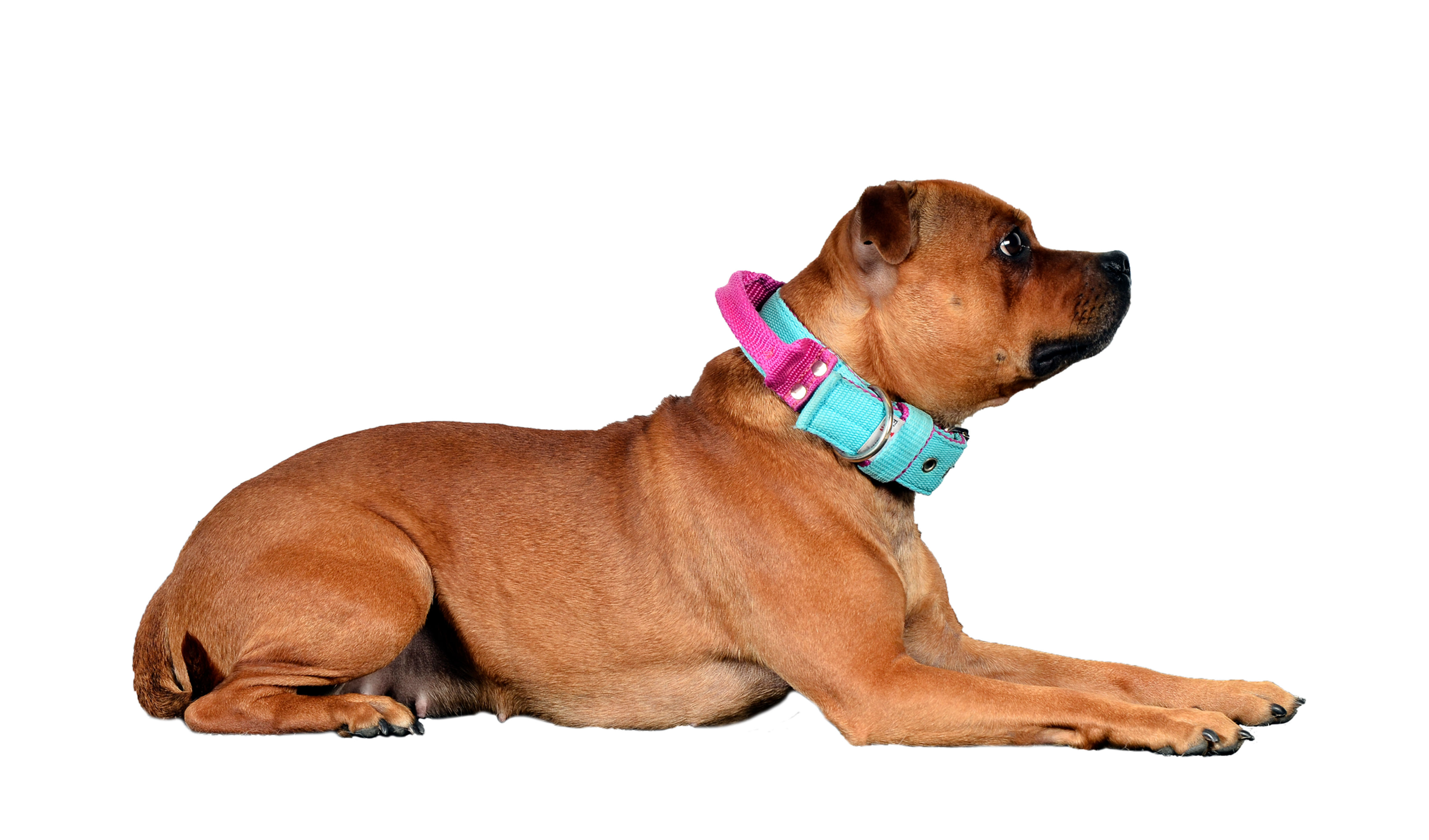 Grundpositionerna: med mina kriterier