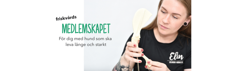 Medlemskapet hos Elins Friskvård