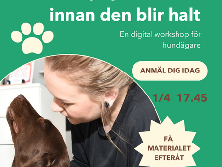 "Så här förebyggger du skador" del 3/3