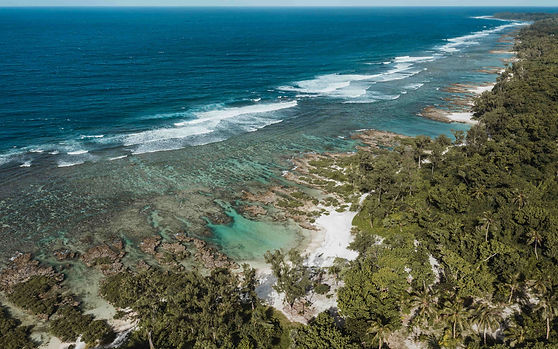DJI_0089___edit low res.jpg